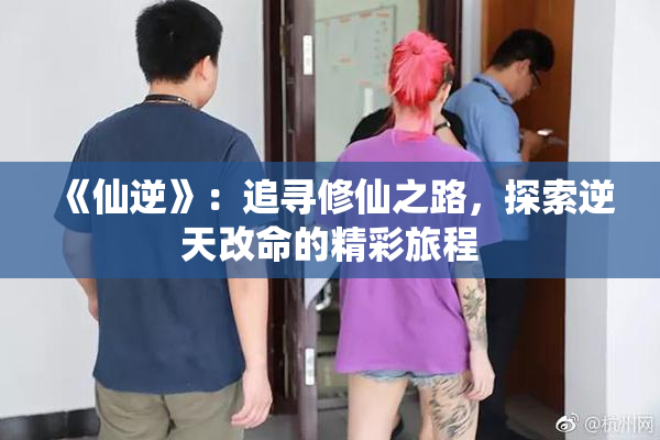 《仙逆》：追寻修仙之路，探索逆天改命的精彩旅程