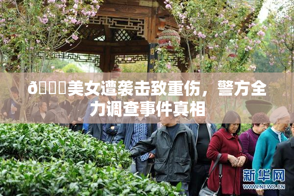 🔞美女遭袭击致重伤，警方全力调查事件真相