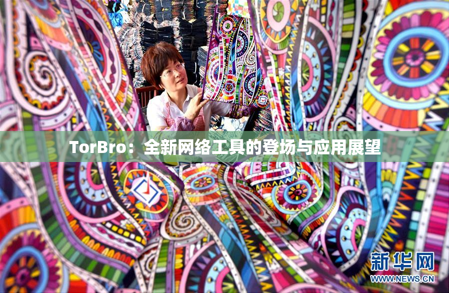 TorBro：全新网络工具的登场与应用展望