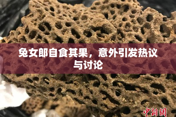兔女郎自食其果，意外引发热议与讨论