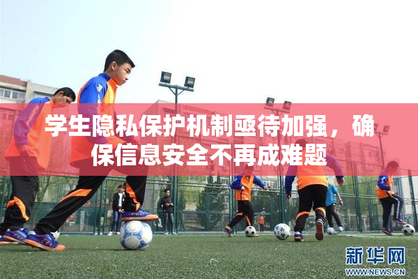 学生隐私保护机制亟待加强，确保信息安全不再成难题