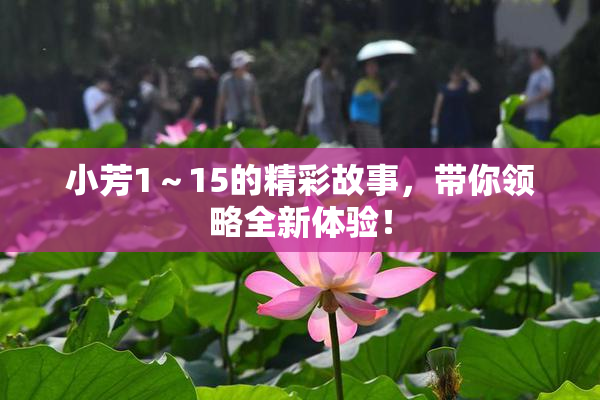小芳1～15的精彩故事，带你领略全新体验！