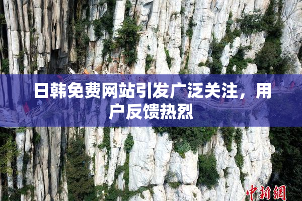 日韩免费网站引发广泛关注，用户反馈热烈