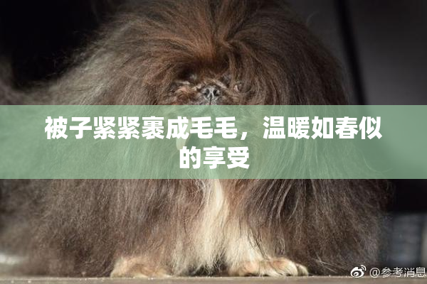 被子紧紧裹成毛毛，温暖如春似的享受