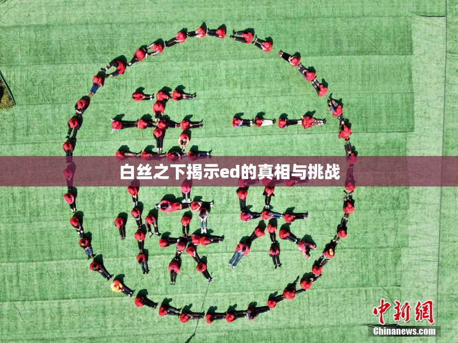 白丝之下揭示ed的真相与挑战