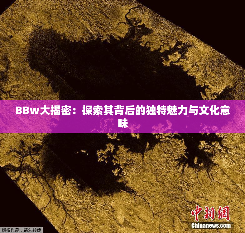 BBw大揭密：探索其背后的独特魅力与文化意味