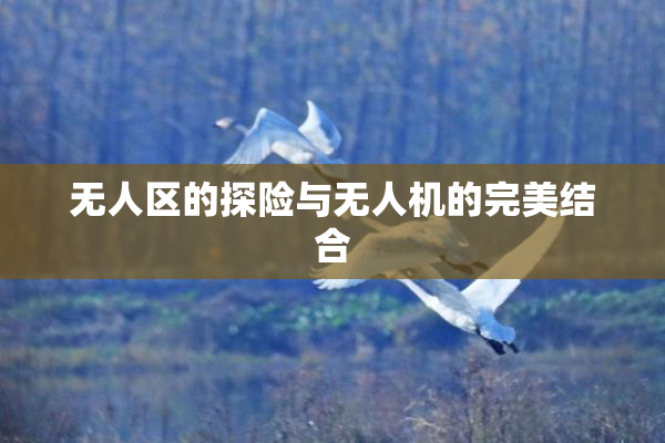 无人区的探险与无人机的完美结合