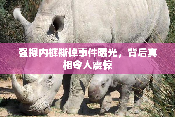 强摁内裤撕掉事件曝光，背后真相令人震惊