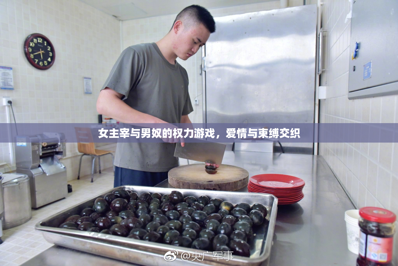 女主宰与男奴的权力游戏，爱情与束缚交织
