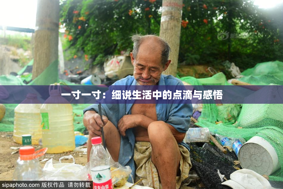 一寸一寸：细说生活中的点滴与感悟