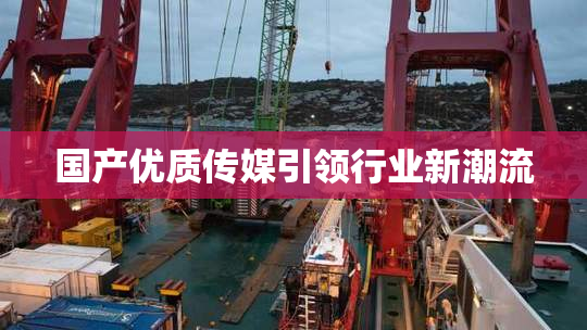 国产优质传媒引领行业新潮流