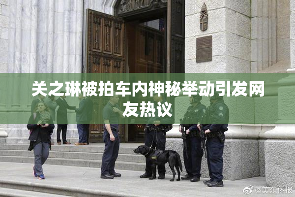 关之琳被拍车内神秘举动引发网友热议