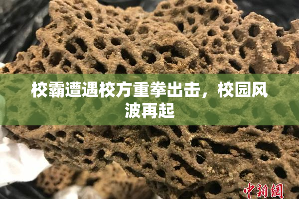 校霸遭遇校方重拳出击，校园风波再起