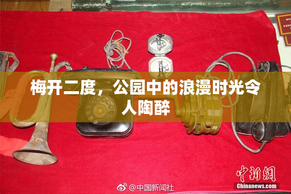 梅开二度，公园中的浪漫时光令人陶醉