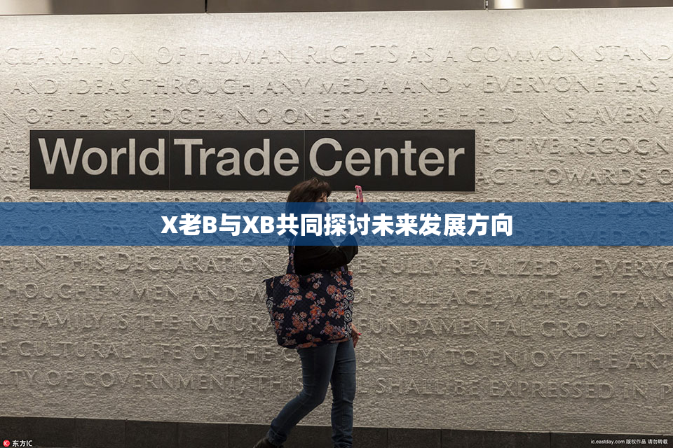 X老B与XB共同探讨未来发展方向