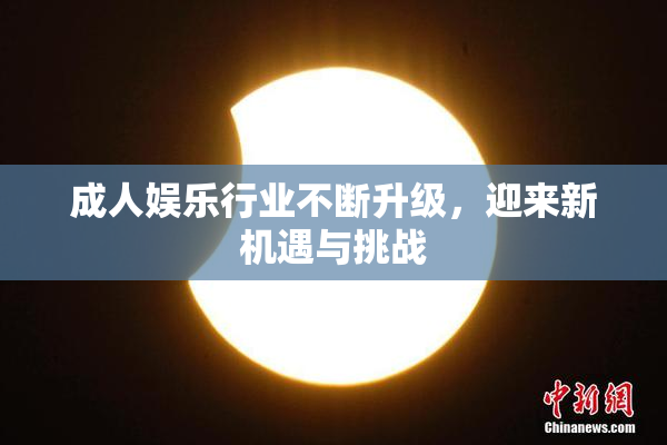成人娱乐行业不断升级，迎来新机遇与挑战