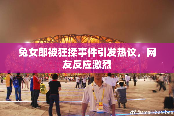 兔女郎被狂揉事件引发热议，网友反应激烈
