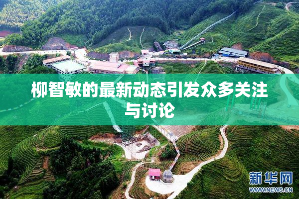柳智敏的最新动态引发众多关注与讨论