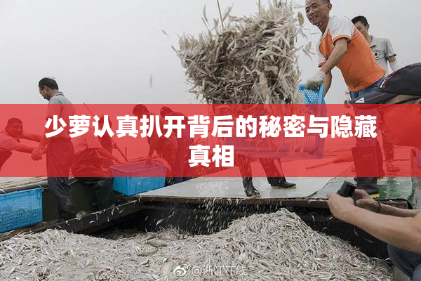 少萝认真扒开背后的秘密与隐藏真相