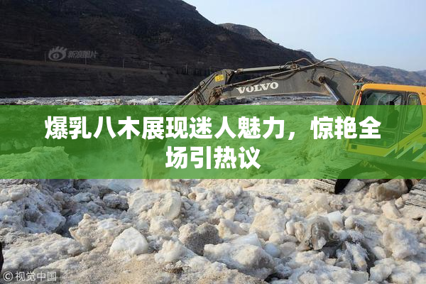 爆乳八木展现迷人魅力，惊艳全场引热议