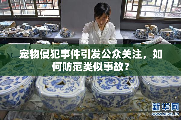 宠物侵犯事件引发公众关注，如何防范类似事故？