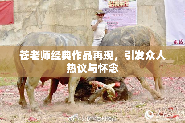 苍老师经典作品再现，引发众人热议与怀念