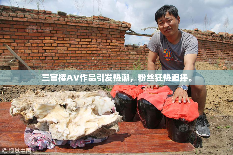 三宫椿AV作品引发热潮，粉丝狂热追捧。