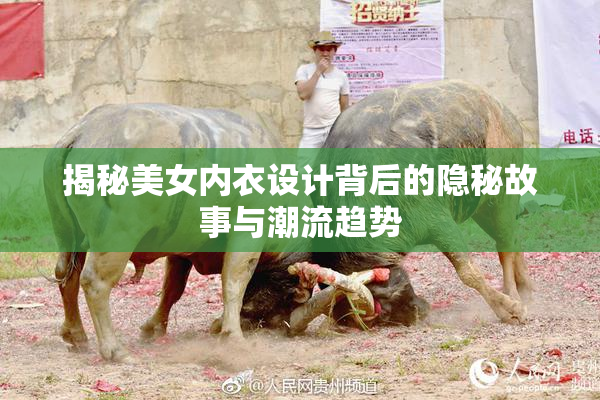 揭秘美女内衣设计背后的隐秘故事与潮流趋势