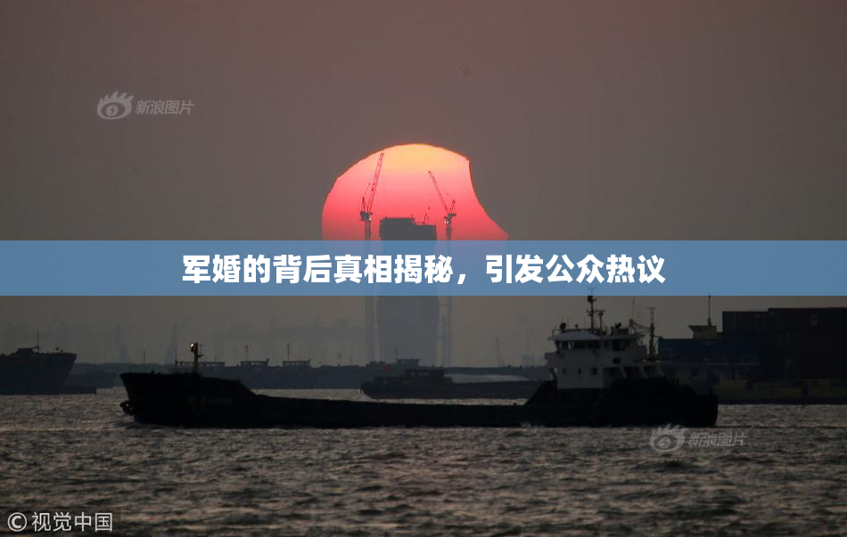 军婚的背后真相揭秘，引发公众热议