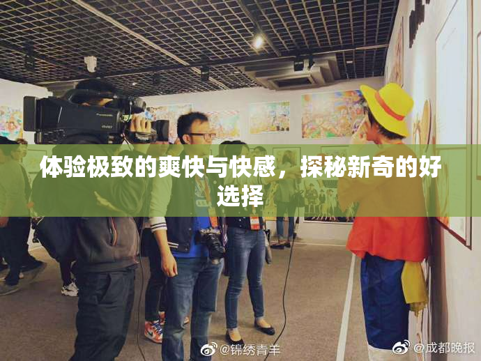 体验极致的爽快与快感，探秘新奇的好选择