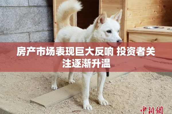 房产市场表现巨大反响 投资者关注逐渐升温