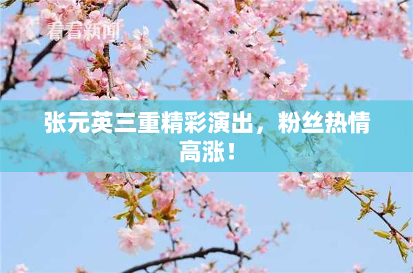 张元英三重精彩演出，粉丝热情高涨！