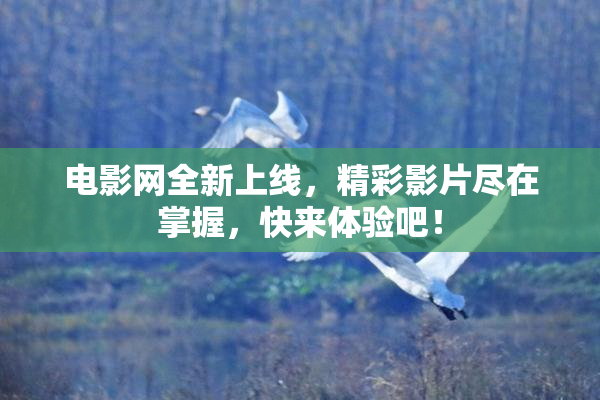 电影网全新上线，精彩影片尽在掌握，快来体验吧！