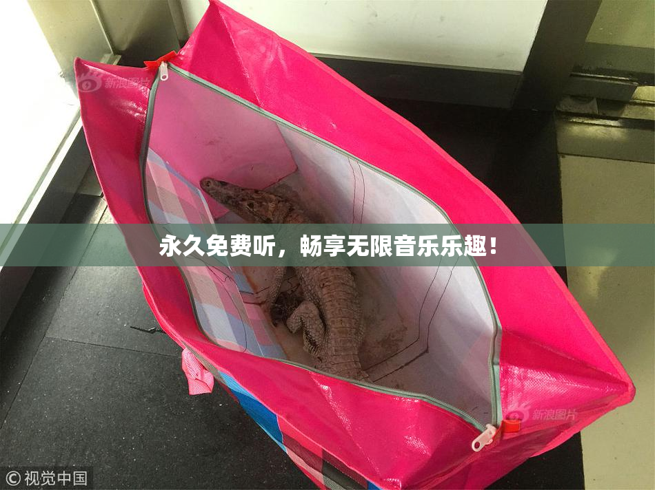 永久免费听，畅享无限音乐乐趣！