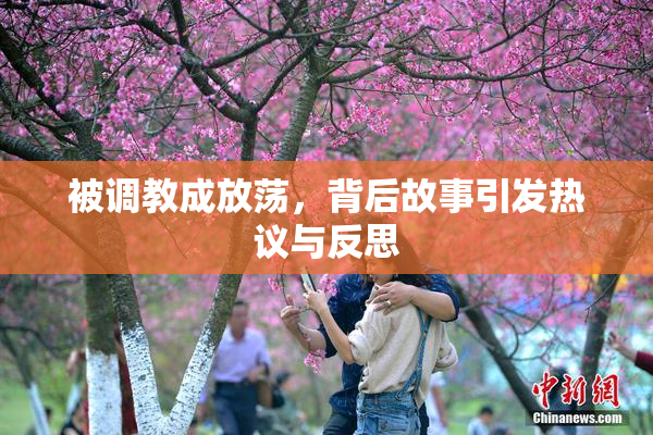 被调教成放荡，背后故事引发热议与反思