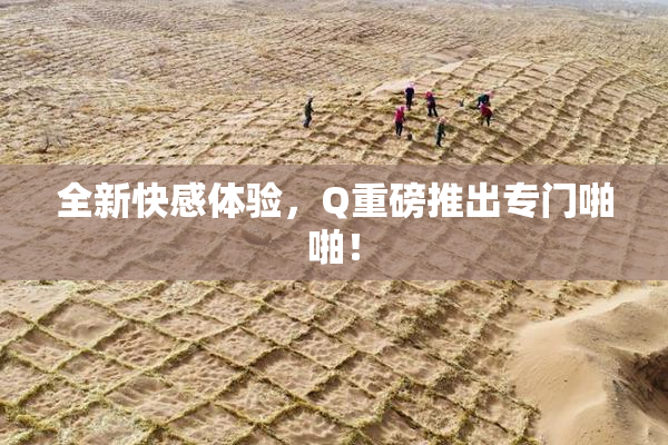 全新快感体验，Q重磅推出专门啪啪！