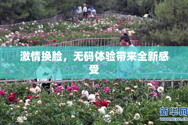 激情换脸，无码体验带来全新感受