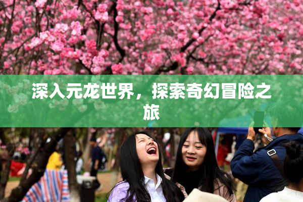 深入元龙世界，探索奇幻冒险之旅