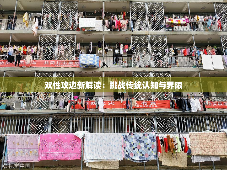 双性攻边新解读：挑战传统认知与界限