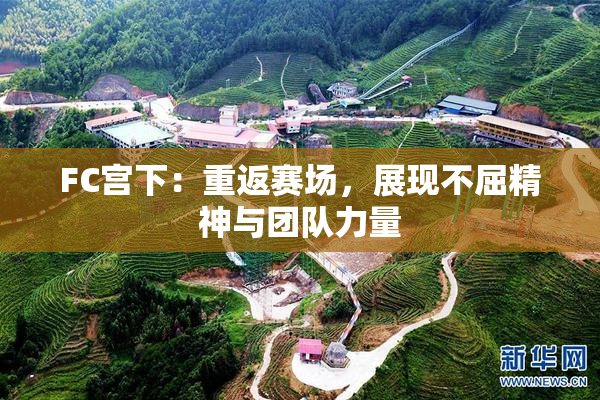 FC宫下：重返赛场，展现不屈精神与团队力量