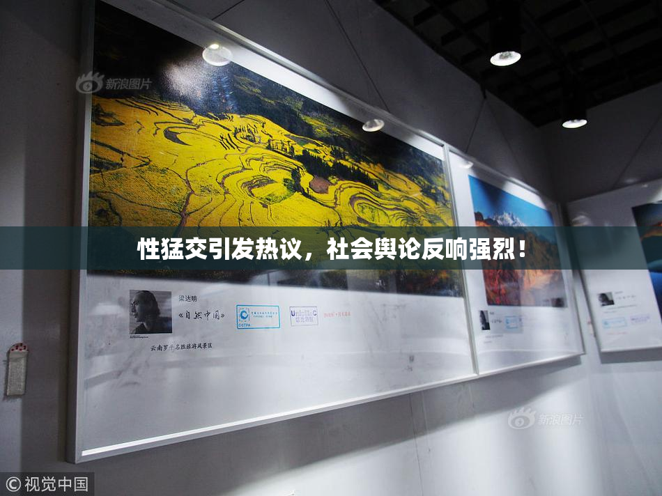 性猛交引发热议，社会舆论反响强烈！