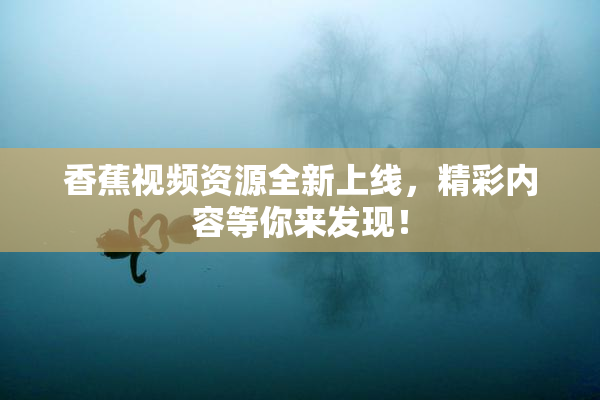 香蕉视频资源全新上线，精彩内容等你来发现！
