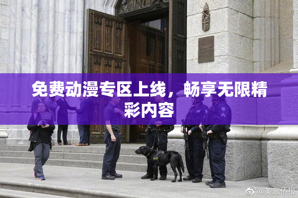 免费动漫专区上线，畅享无限精彩内容