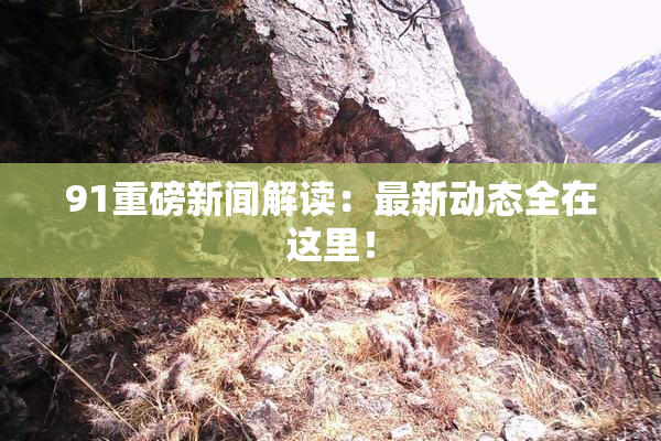 91重磅新闻解读：最新动态全在这里！