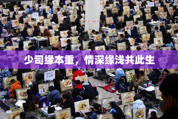 少司缘本重，情深缘浅共此生
