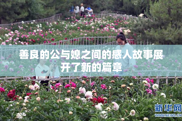 善良的公与媳之间的感人故事展开了新的篇章