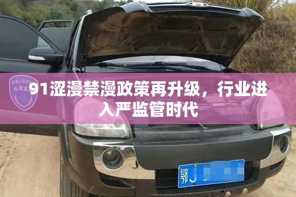 91涩漫禁漫政策再升级，行业进入严监管时代