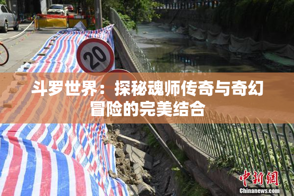斗罗世界：探秘魂师传奇与奇幻冒险的完美结合