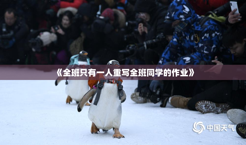 《全班只有一人重写全班同学的作业》
