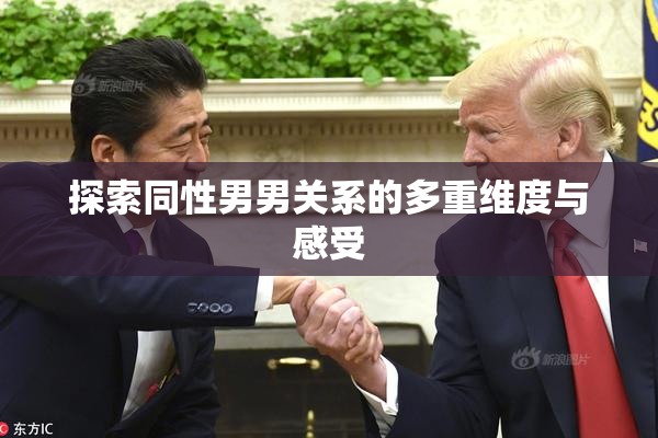 探索同性男男关系的多重维度与感受